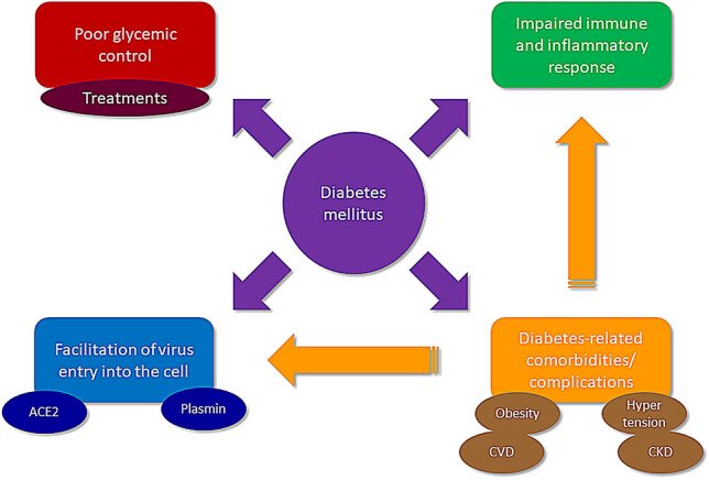  #Clinicalperspective  #MedTwitter  #cardiotwitter Is  #diabetesmellitus a risk factor for  #COVID19 ?  https://www.ncbi.nlm.nih.gov/pmc/articles/PMC7456750/  @NCBI  @AnastasiaSMihai  @mmamas1973  @DocSavageTJU  @SABOURETCardio  @VietHeartPA  @hvanspall