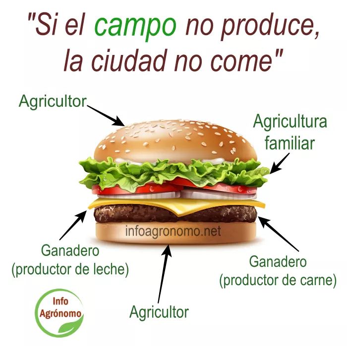 Explica otra forma de hacer una comida tan simple como una hamburguesa? Existe?