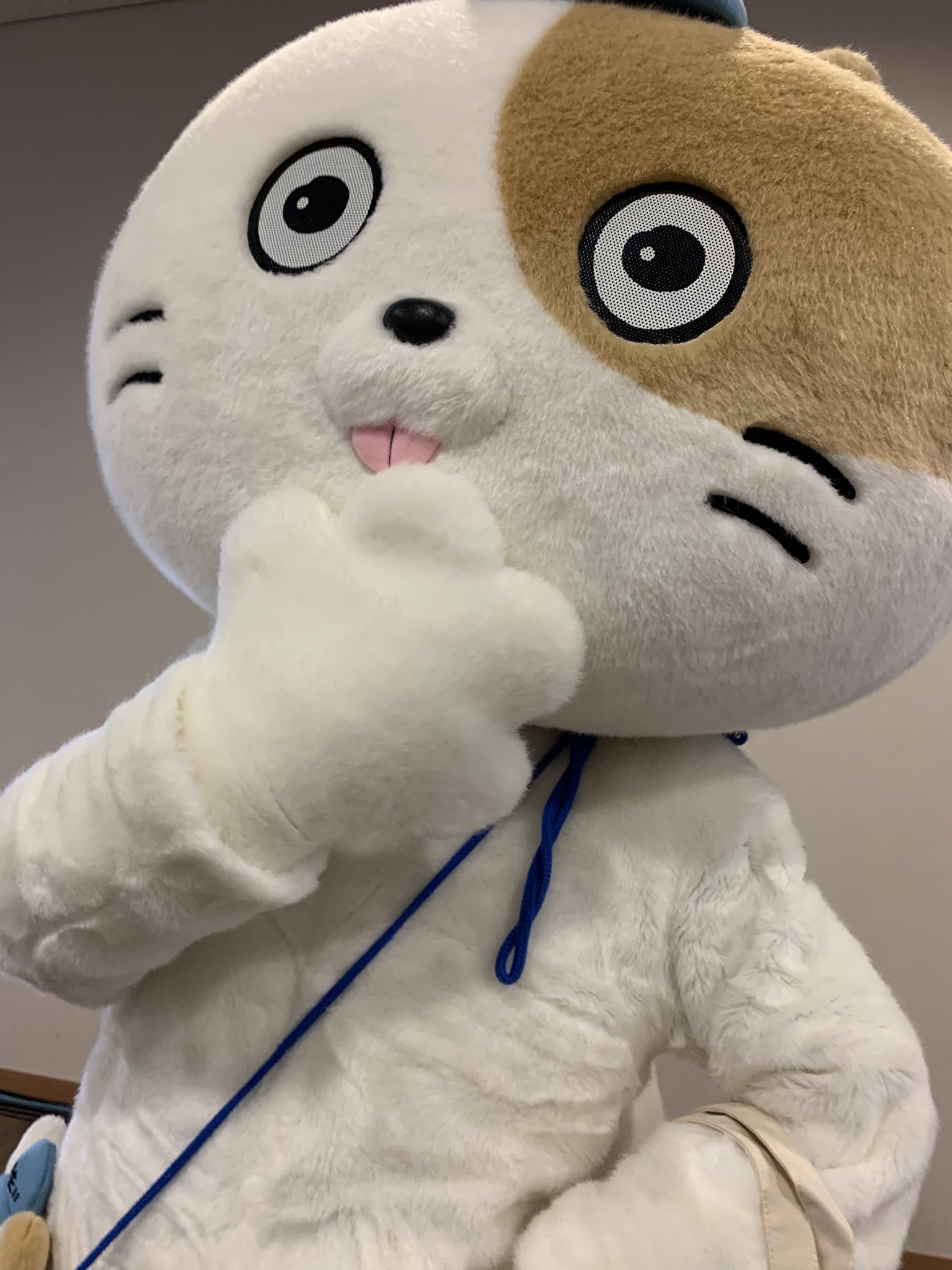 ‼️希少‼️即購入可能‼️ スーパー耐久　すぱーく　ぬいぐるみ えすたいすぱーくぬいぐるみ - スーパー耐久オフィシャルショップ