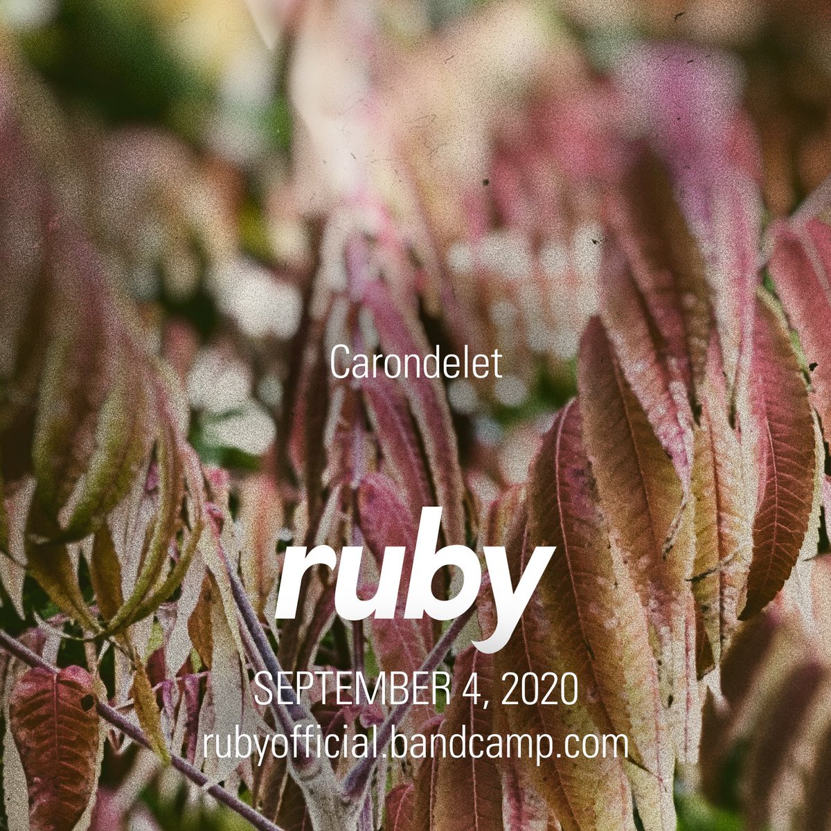 lesleyrankine's tweet photo. THIS just landed in the Ruby Bandcamp! Happy Friday McLovelies!
https://t.co/7QzDRWR83j
Made with #ScottFirth on the mixing desk and @henryfaber putting together all the lovely art.
#saltpeter2020 #Ruby2020 #bandcampfriday #bawnoo https://t.co/7ODj84uCWF