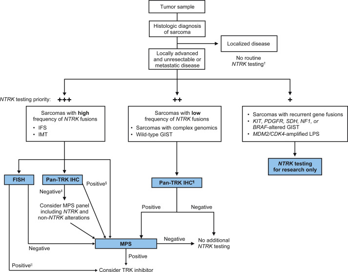 Annals_Oncology's tweet photo. NTRK gene fusions 🧬 are oncogenic and highly actionable 💊. Just out and #openaccess in Annals of Oncology: expert recommendations from the World Sarcoma Network for the diagnosis and management of TRK fusion sarcomas https://t.co/Bx4DsG5lrb @DrSarcoma @jeanyvesblay https://t.co/3EMFajjouN