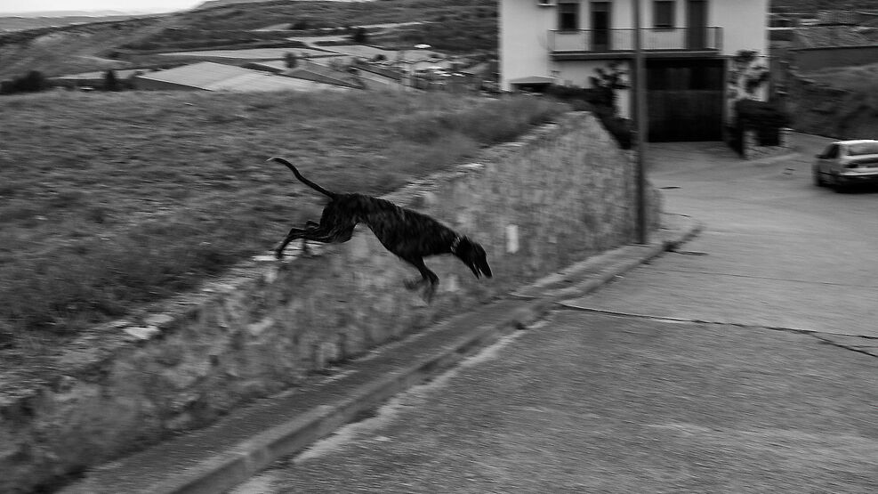 FOTO ASSAIG| FIL
Et presentem agrupats una sèrie de treballs, de l'equip de l'ARA. Treballs personals i íntims, sovint allunyats del món del periodisme.
El primer, Fotos  imperfectes, de @bertral ara.cat/_945446da?s=t
