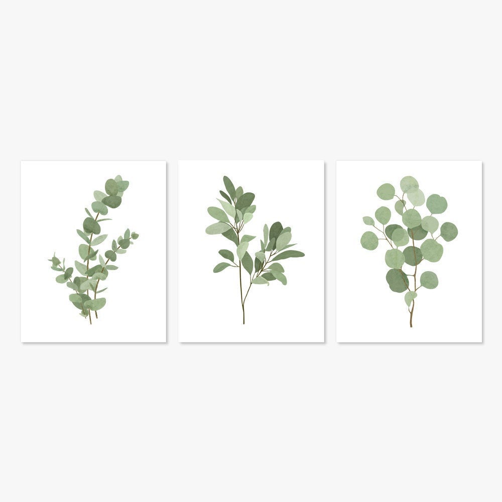 TheColorBee's tweet image. Excited to share the latest addition to my #etsy shop: Set of 3 Eucalyptus Leaf Art Prints, Silver Dollar Baby Eucalyptus Stems, Watercolor Botanical Triple Three Trio etsy.me/31UMB3A #green #bedroom #flowers #watercolor