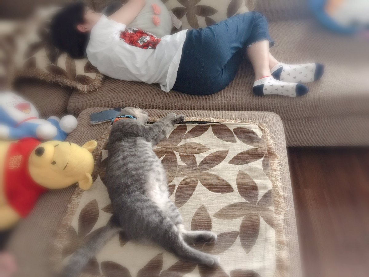 EgLFctLxfa1xcLP's tweet photo. 🐈หลับทั้งคู่ น่ารักแพคคู่ 😘😘#RatahBNK48 #แชมป์แมวหล่อ #champyon https://t.co/dltI0qm0uV