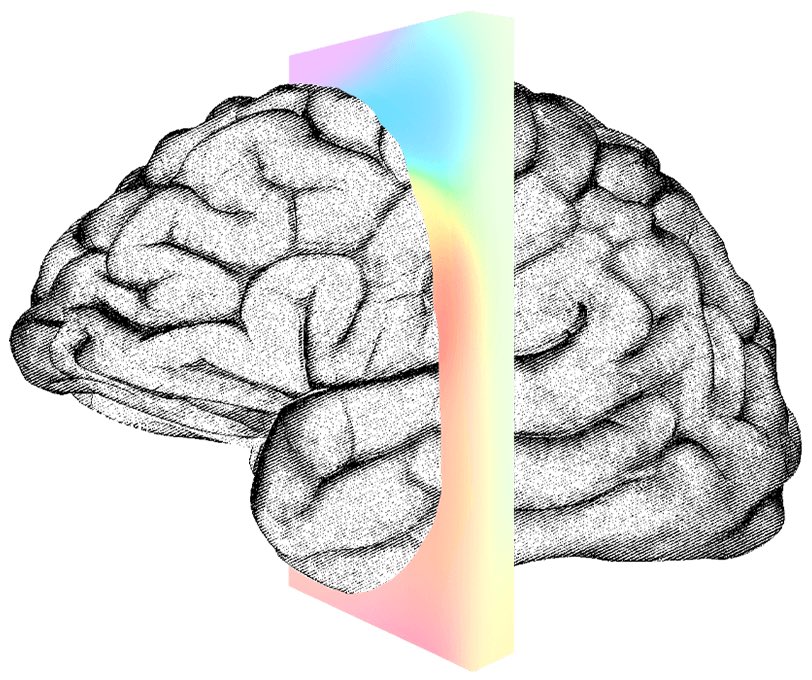 Almost unreal...
neuralink.com