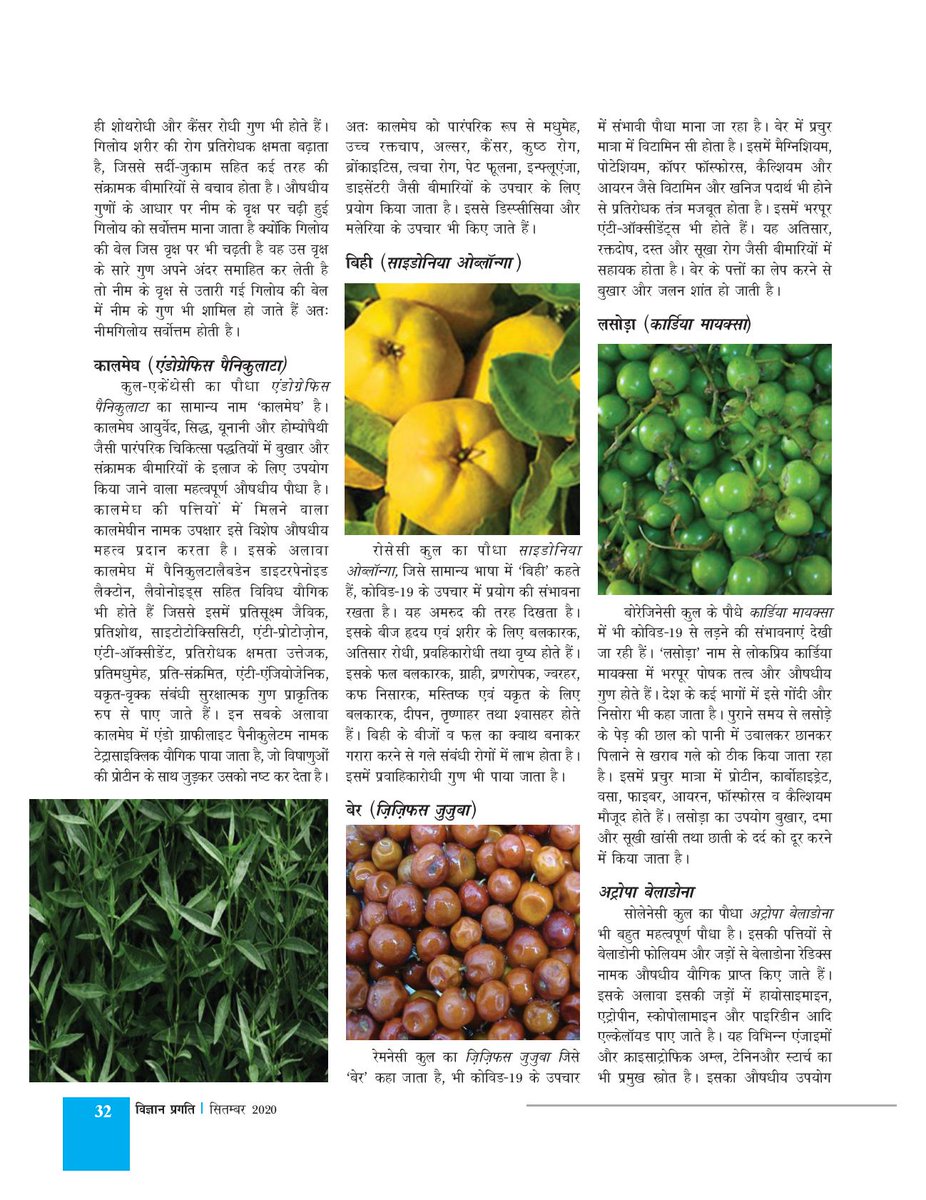 विज्ञान प्रगति सितम्बर 2020 अंक में प्रकाशित 
लेख- कोरोना के उपचार में सहायक संभावित भारतीय औषधीय पौधे 
लेखक- शुभ्रता मिश्रा
<a href="/VigyanPragati/">विज्ञान प्रगति</a> <a href="/CSIR_IND/">CSIR, India</a> @CSIR_NISCAIR <a href="/shekhar_mande/">Shekhar Mande</a> <a href="/dravanishkumar/">Prof. Avanish Kumar</a> <a href="/Ravimishra1970/">Ravi Mishra</a>