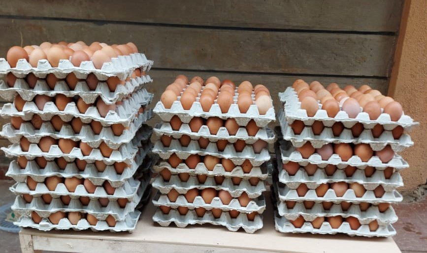 Tausishoeplug's tweet photo. Watu wa thika road 
My guy Charles 0724426615
Hapo roysambu lumumba drive 
Just app or kol he will sort u out with eggs 
TIA 
😊😊😊😊
Rt widely for clients https://t.co/11v15DXlRa