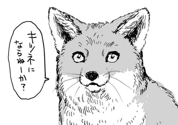 いま現実逃避してたところ

(もうすぐタヌキも出てくるから待っててね…) 