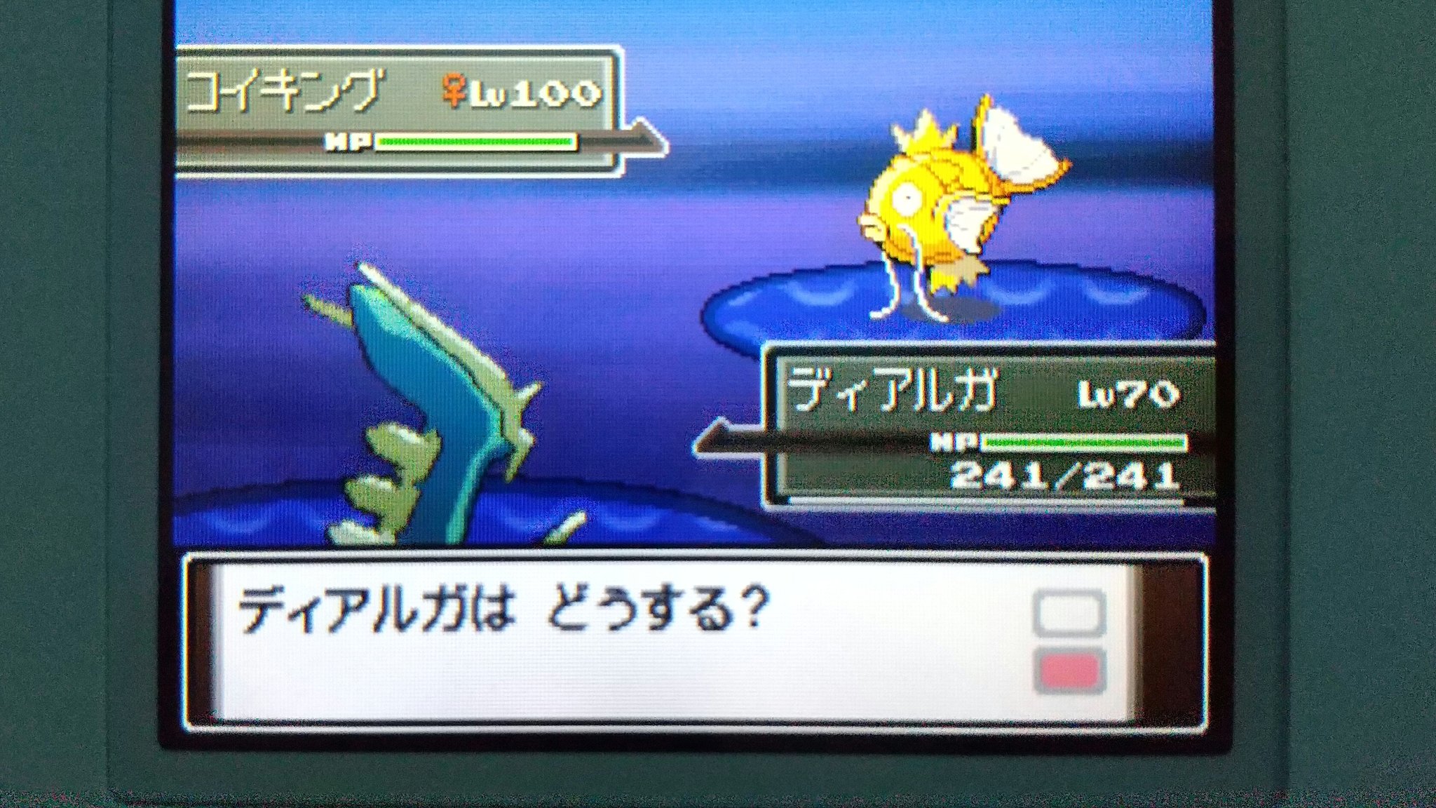 ほっとちょこ リゾートエリアのヌシ 色違い 釣り上げました ほっとちょこ リゾートエリアのヌシ 色違い 釣り上げました