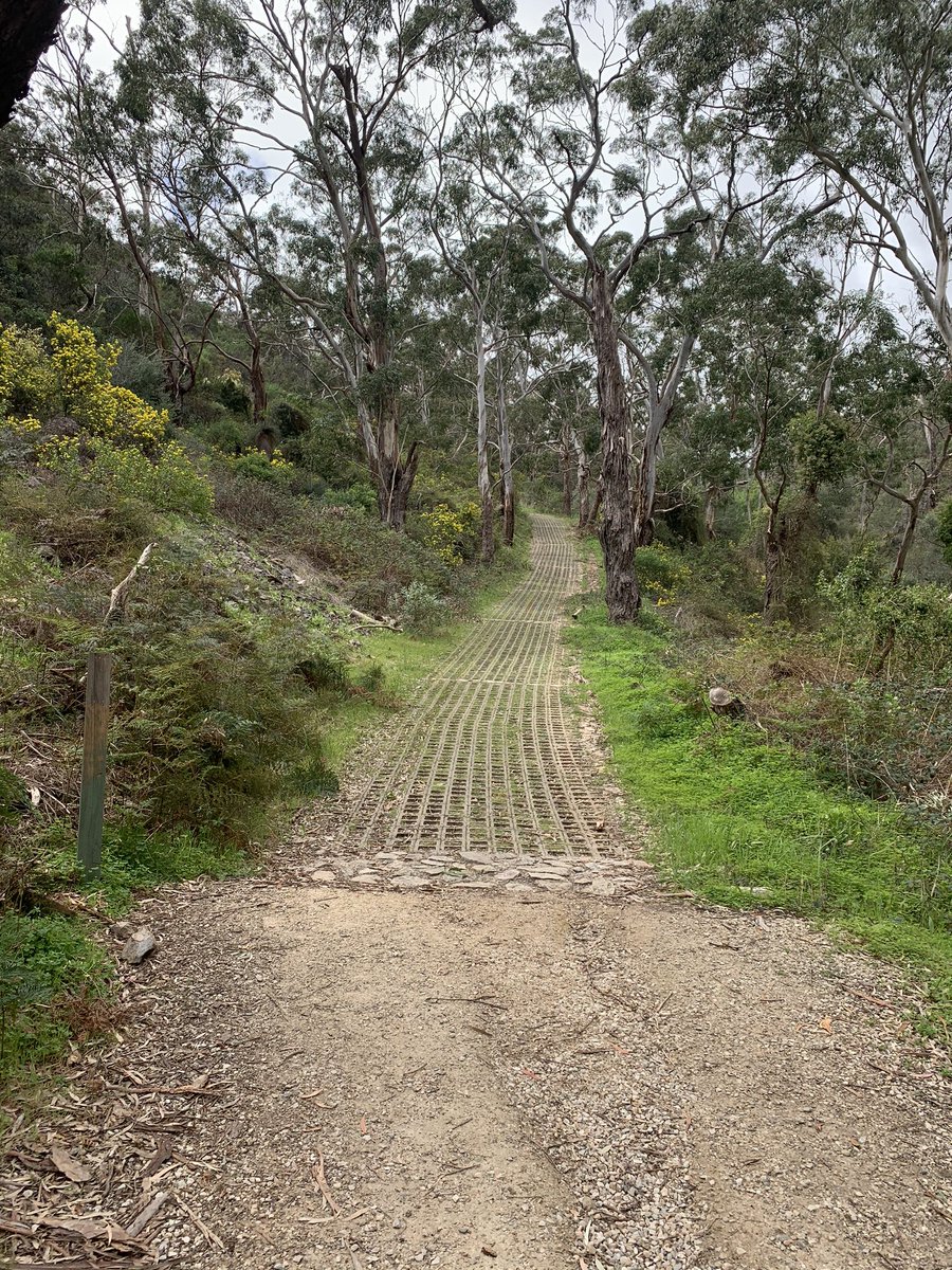 Daily Move. With patches of sunshine and running water it made for a great hike through Morialta. Getting a daily dose of sunshine and fresh air has proven positive health benefits. Have you moved today? #moveot #DailyMove #motivate #recover #develop #MAINTAIN