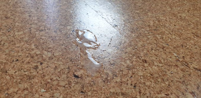 Massive cumshots on me....and all around me !  @modelhub @PornhubModels https://t.co/NPz75X8kJa<a href="/tag/massivecumshot"class="tags"><span>#massivecumshot</span></a><a href="/tag/whorestrainer"class="tags"><span>#whorestrainer</span></a>