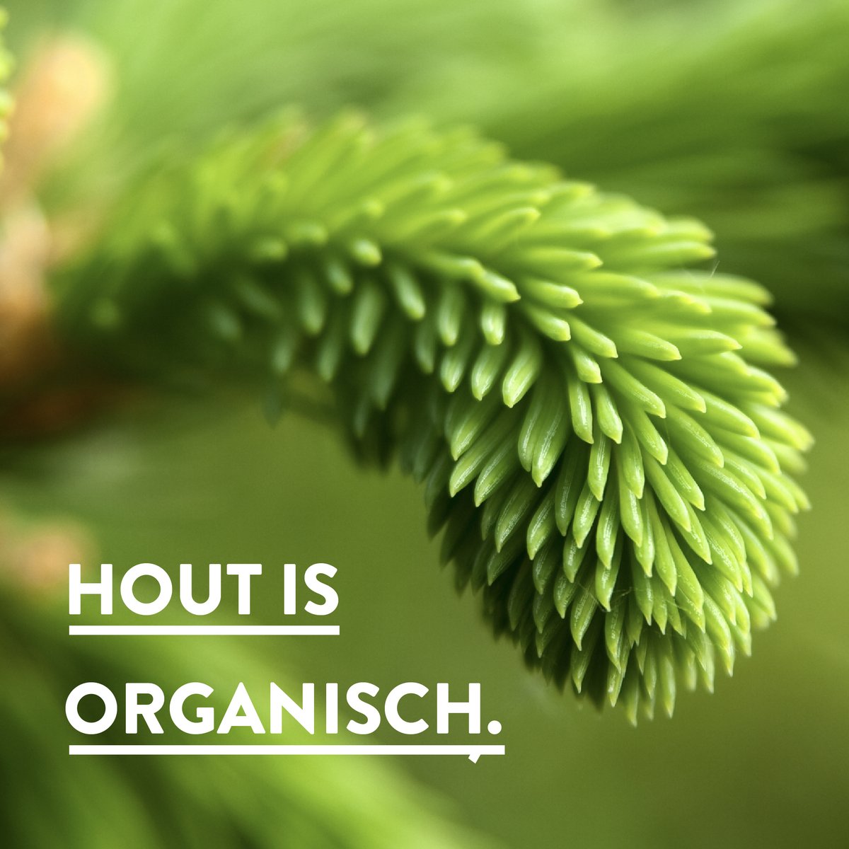 Kozijnen van hout tweet media