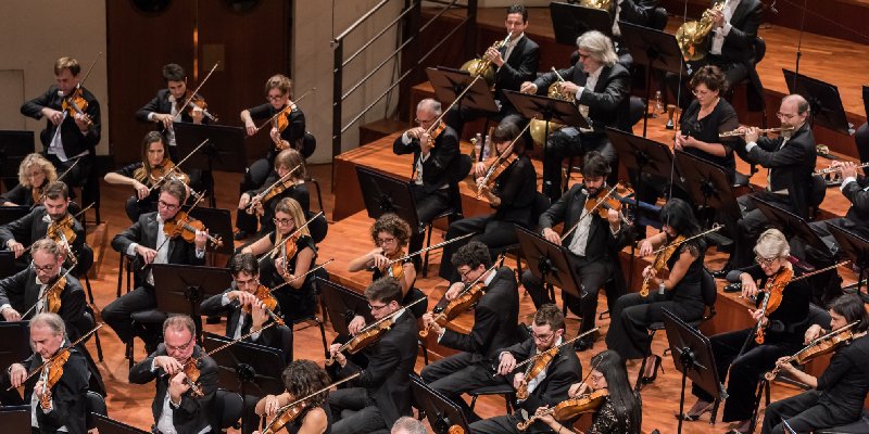 OrchestraRai's tweet photo. Il 16 settembre è il termine ultimo per le iscrizioni alla 4^ edizione di #ProfessioneOrchestra, il progetto nato dalla partnership tra l’@OrchestraRai e l’Accademia di Musica di Pinerolo. 
Da oggi online i programmi di studio dei docenti 
👉 https://t.co/jPJjMHbCFo https://t.co/M1bc1gxLA7