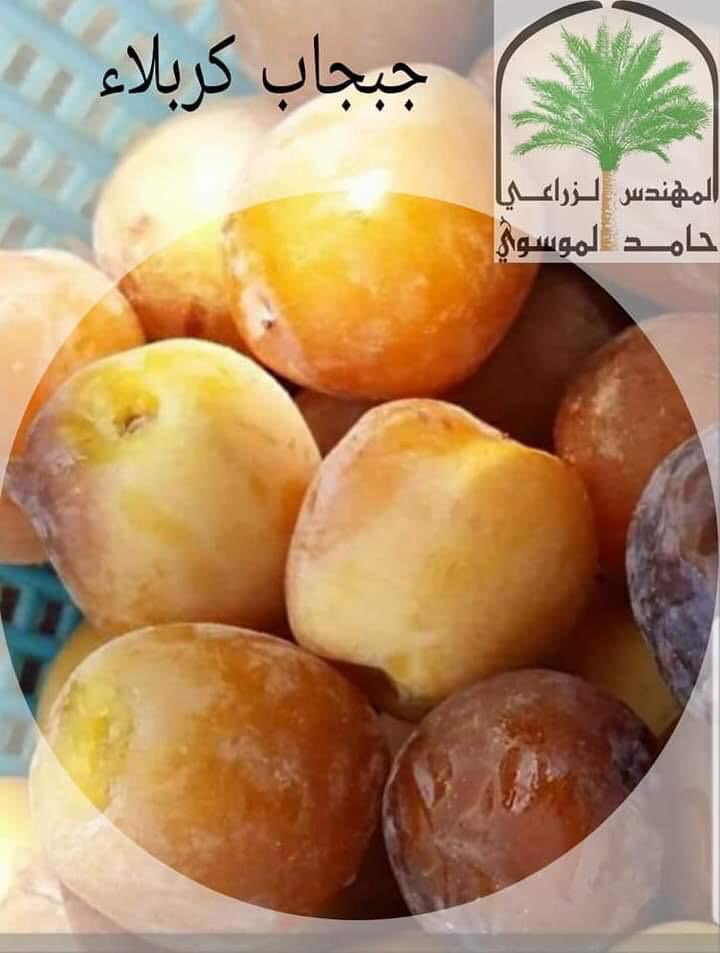 abumuhannad858's tweet photo. @OtaiAbdullah والله شيء يابلاش💫✋🏼💐 https://t.co/TTbVfUeuAe