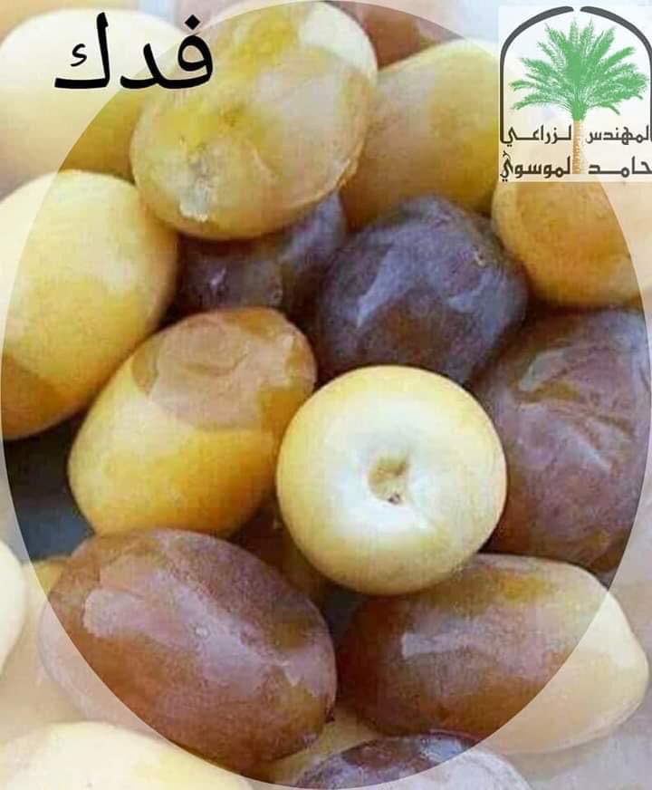 abumuhannad858's tweet photo. @OtaiAbdullah والله شيء يابلاش💫✋🏼💐 https://t.co/TTbVfUeuAe