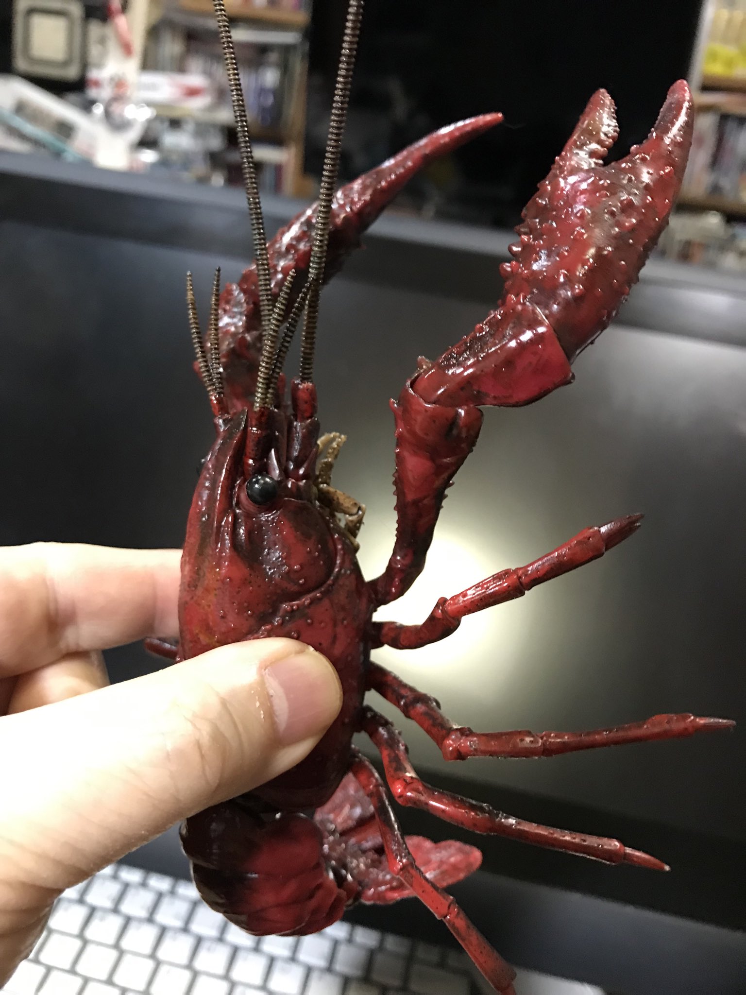 ときた洸一 アメリカザリガニは飼育してても罰金はないのね 外来種だからあわてて川に放流しないように 画像はフジミさんのプラモ T Co Khmlrvrg5k Twitter