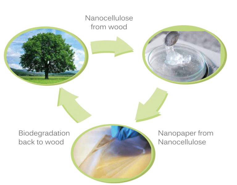 GREENSENSE PROJECT tweet media