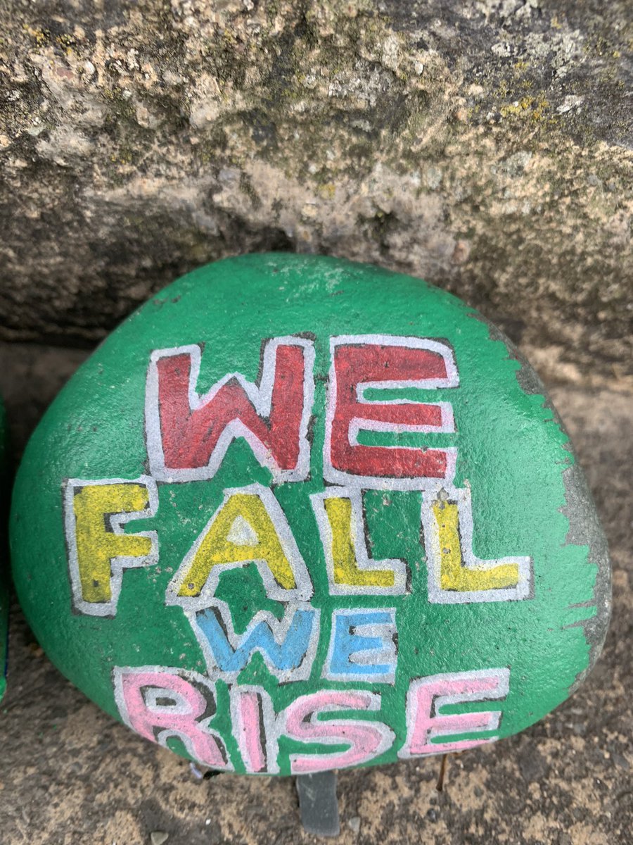 ColetteLeeson's tweet photo. My week in pictures -hospital, hairdresser,dentist.. #thefightbackcontinues #wefallwerise https://t.co/lVapNIXsaq