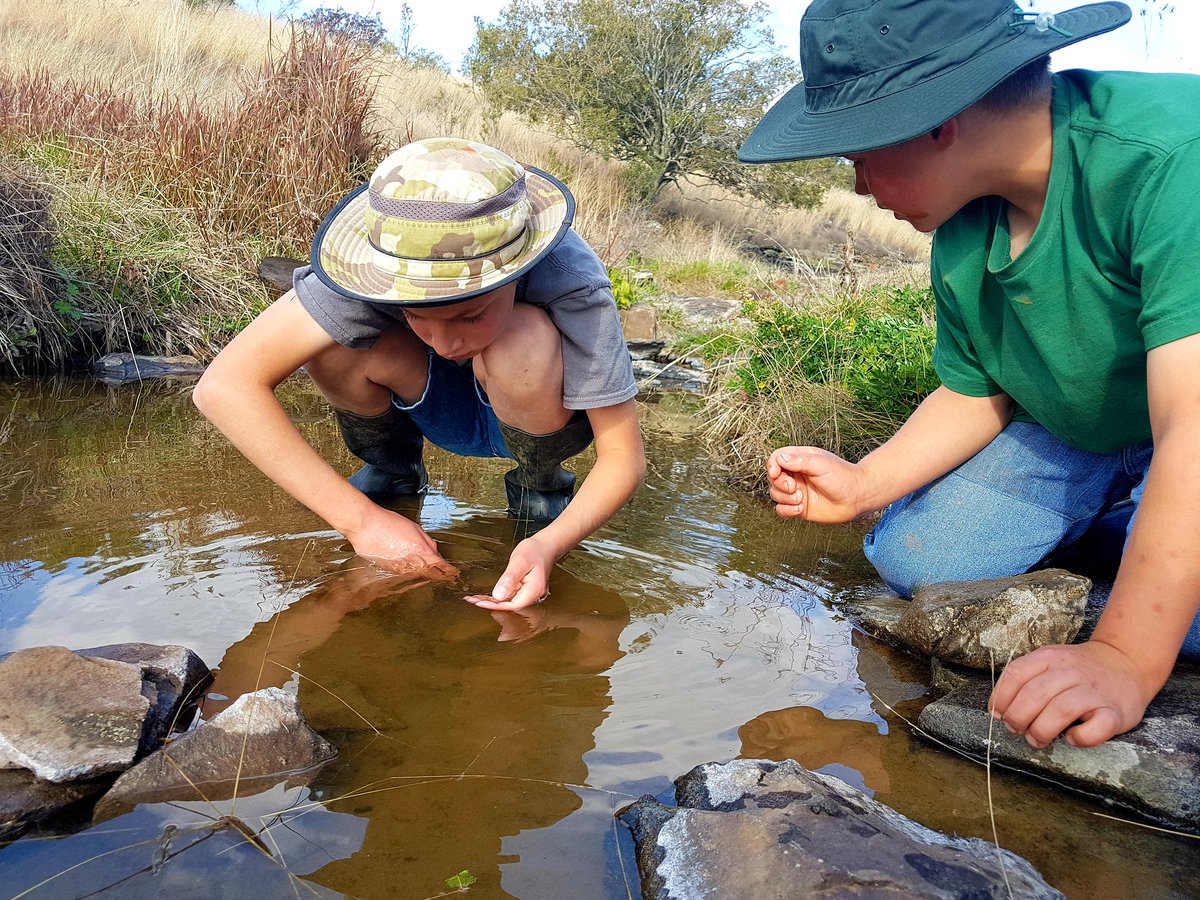 Further down, another team was busy catching minnows, identifying larvae, and trying to distinguish frog tadpoles from toad tadpoles. The words 'habitat' & 'ecosystem' were thrown around with alarming ease. Who teaches these kids nowadays?!
