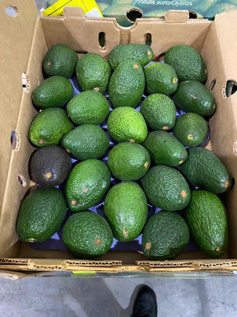 JamieNicolaou's tweet image. So I’ve just been notified of the first shipment of Chilean fruit which has landed in Aust. Extremely disappointing for Aus growers. One of the directors of the importer is also a director of our national body, Avocados Australia! Unfuckingbelievable!! #buyaustralianavocados