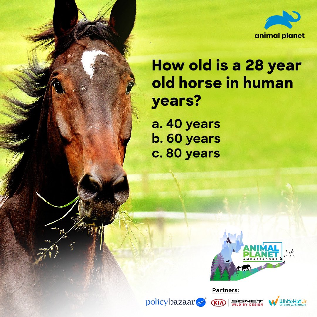 AnimalPlanetIn's tweet photo. Answer this question in the comments below with #APambassador! Tune in to AP Ambassadors, starting 7th September on Animal Planet.
#KiaSonet #WildByDesign #TheNextLevelofWild #SonetIsComing #SonetWorldPremiere #PolicyBazaar #WhiteHatJr
@KiaMotorsIN @policybazaar @whitehatjunior https://t.co/wiYBZO22DZ