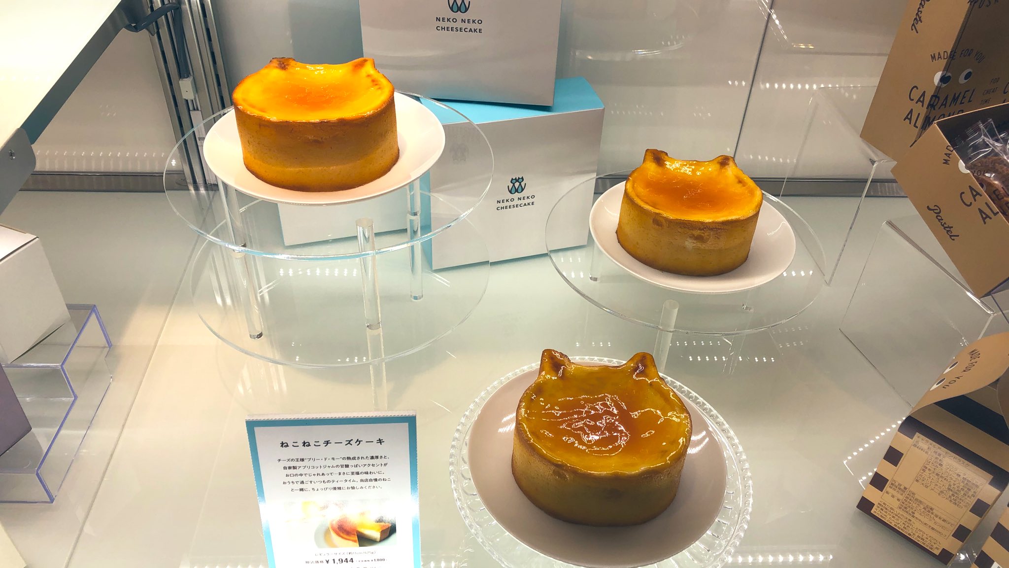 ぐらさん ここは南町田グランベリーパーク 今日からのパステルが 大人気だーーー パステルといえばとろけるプリン この間マイスイーツでも出店してて ガッツリいただいていたので 誘惑にはのらん とチラ見のつもりが なんか ネコ ネコ