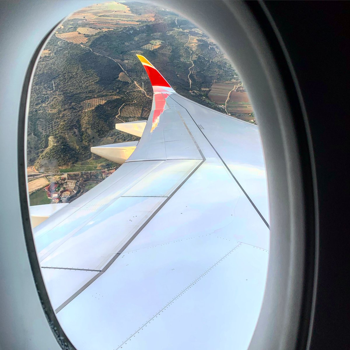 Yogui_Bear's tweet image. Mira que hay ganas de mirar por la ventana!!! 
#WindowTeam