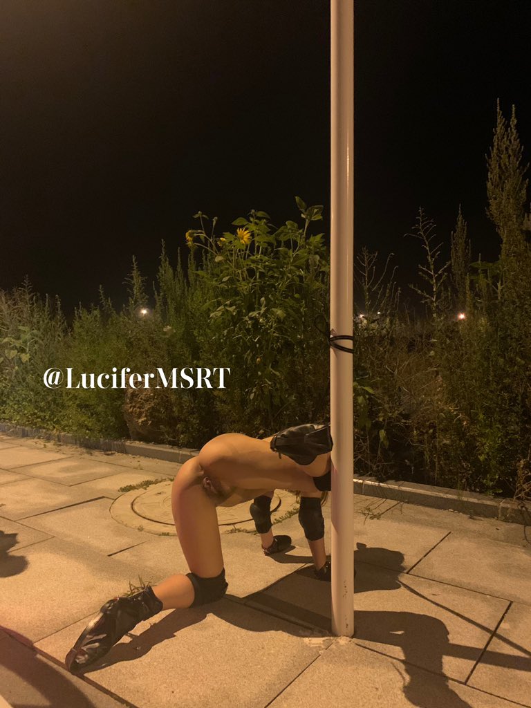 晚上睡不着，出来遛遛。@luluwun 中途还从一旁工地里出来一个大爷，吓的小母狗一下窜上车，还是有点认生🙈