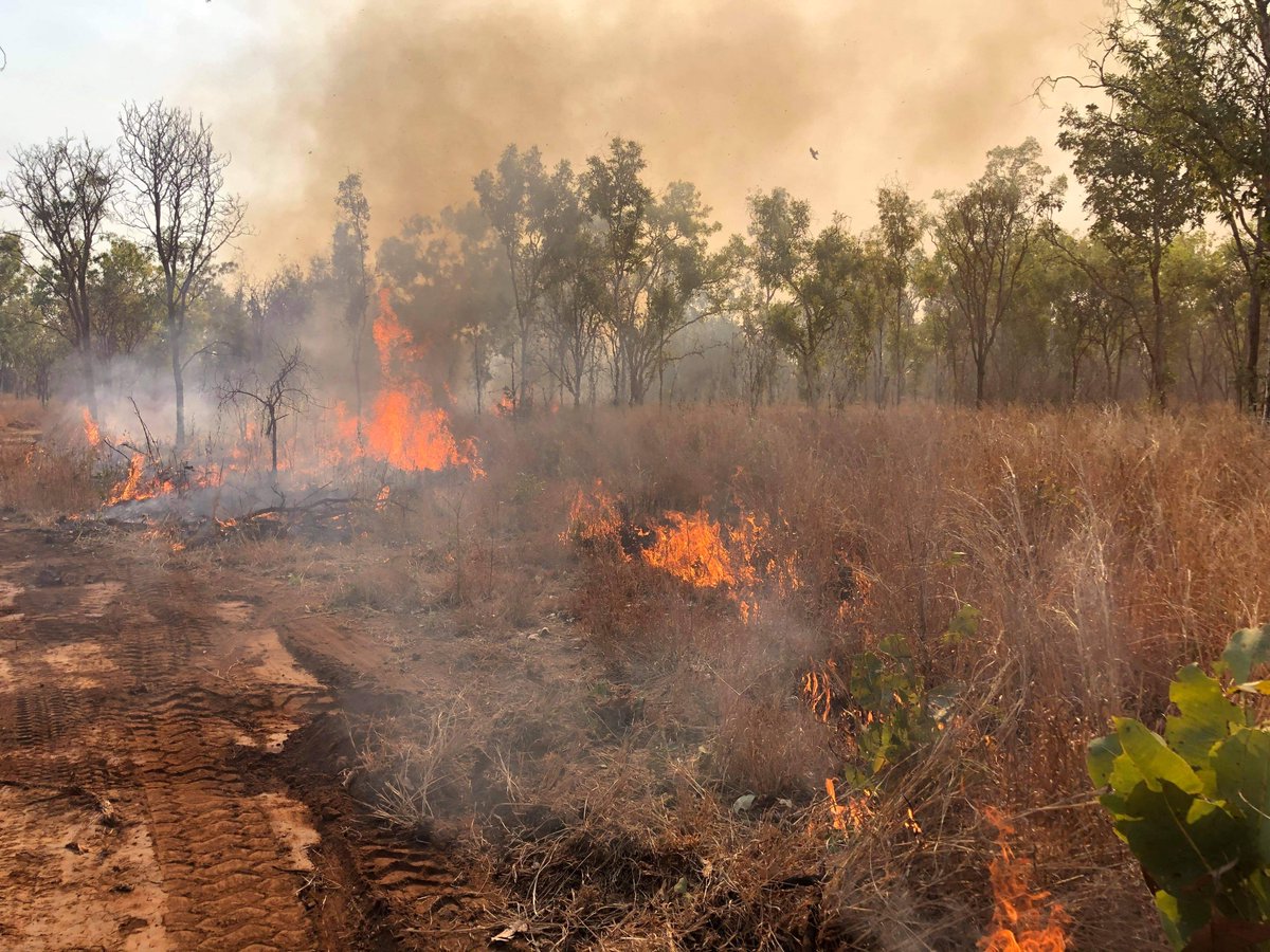 IndigLandSea's tweet photo. Amid catastrophic fire conditions in the Top End, #FishRiverRangers put in long hours to halt the spread of wildfires onto ILSC operated #FishRiverStation. Well done Rangers for protecting this iconic country from going up in flames. 🔥🖤💛❤️
#IndigenousRangers #WorkingonCountry https://t.co/NPhWPiZUCQ