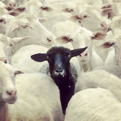 BossManPerry100's tweet image. #NewProfilePic