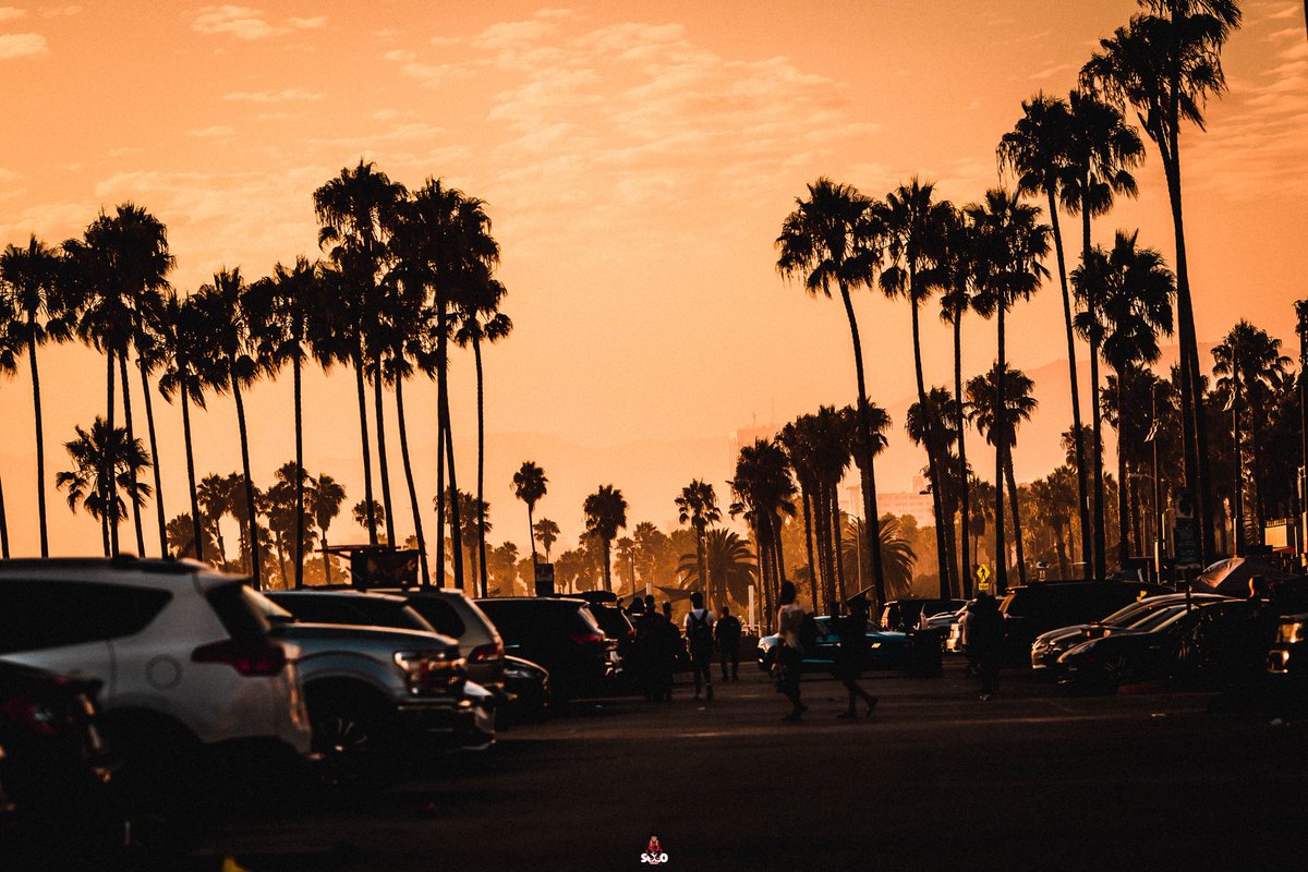 Its_MyAmbitionN's tweet photo. Just cause I never upload anything on here. #California #santamonica #venicebeach #SoLoVisualz #BookMe https://t.co/RRDZV0NJgp