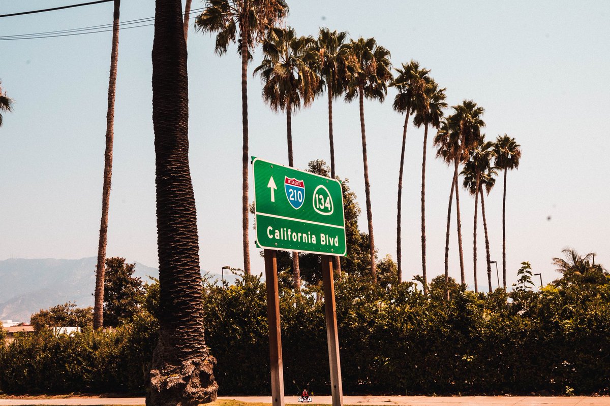 Its_MyAmbitionN's tweet photo. Just cause I never upload anything on here. #California #santamonica #venicebeach #SoLoVisualz #BookMe https://t.co/RRDZV0NJgp