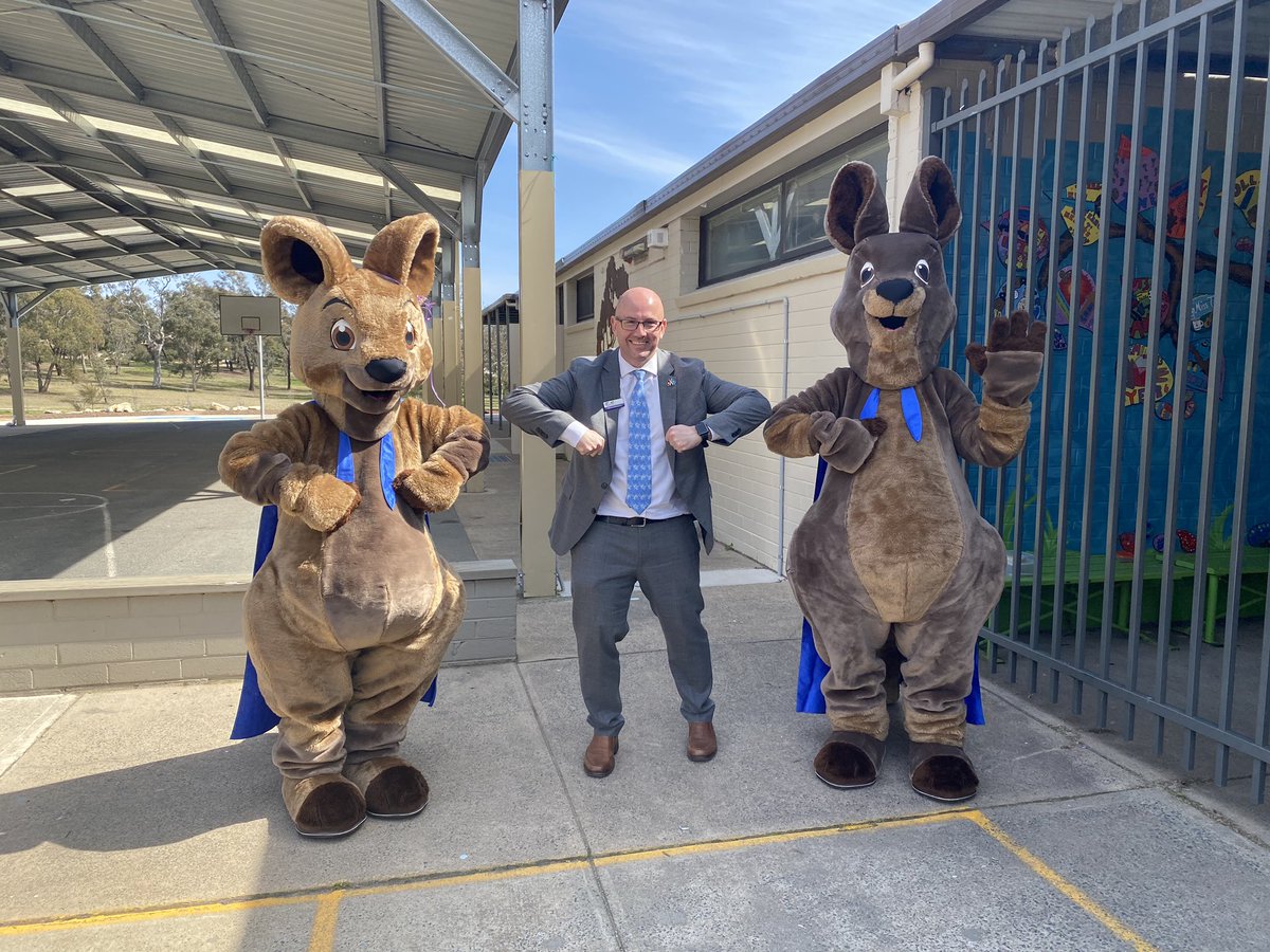 David Matthews tweet media