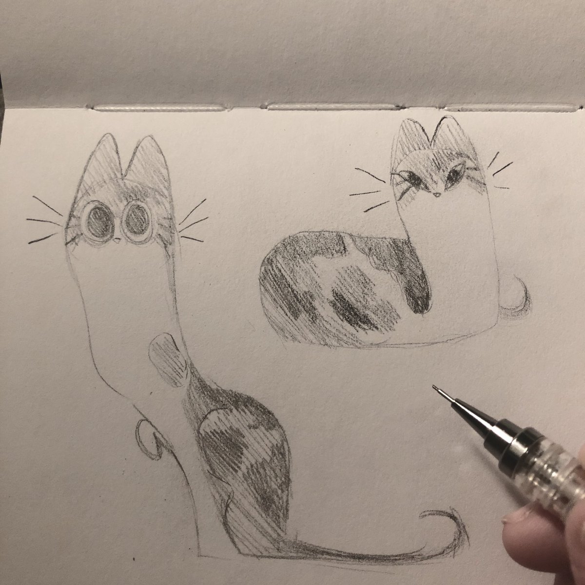 Can't sleep guess it's time to draw my cat 