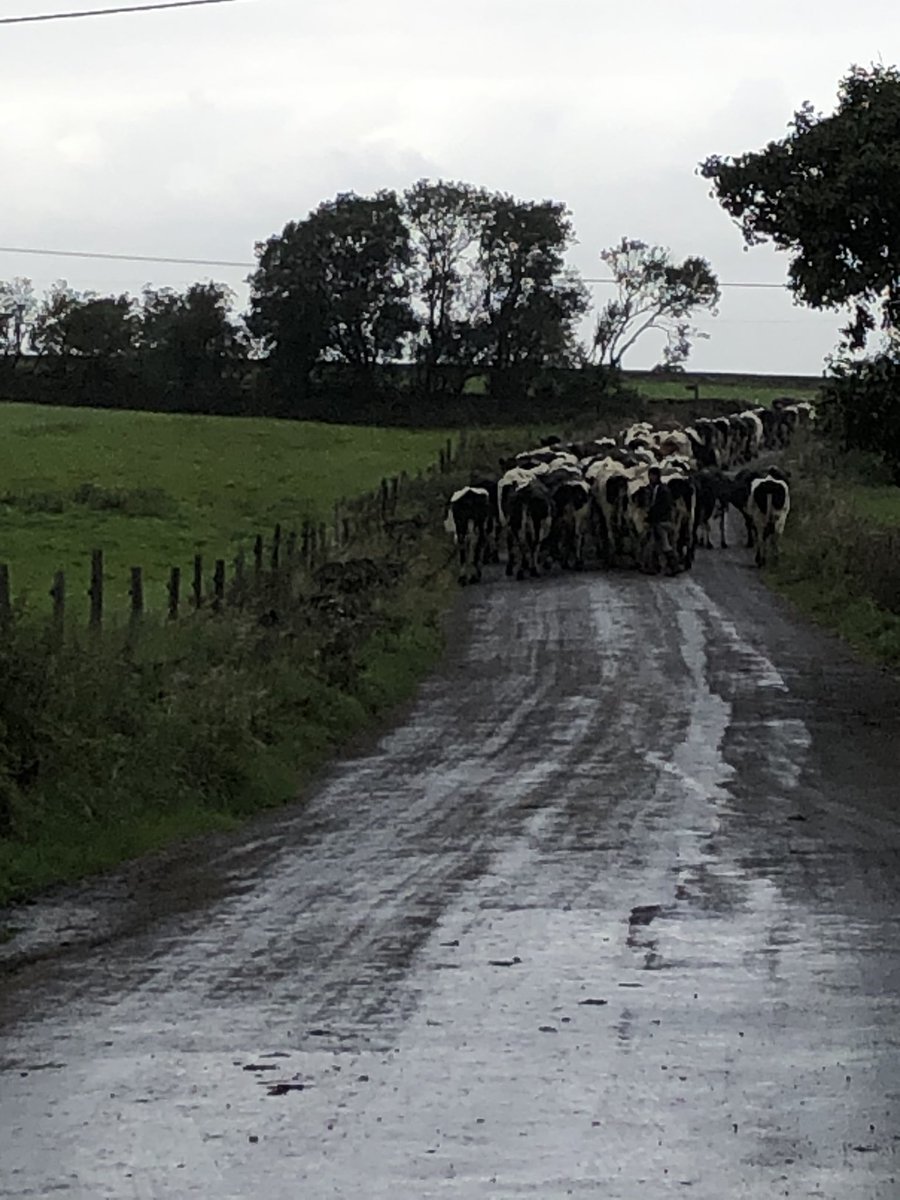 JamesMorgan1973's tweet image. #RushHour at t’ top o’ Hathershelf #TotalGridlock