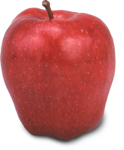 1. Red DeliciousMeet the world’s favorite snacking apple. The heart-shaped Red Delicious features a bright red and sometimes striped skin. Renowned for its crunchy texture and mildly sweet flavor, this tasty apple shines in cool, crisp salads.Your favorite "red apple"