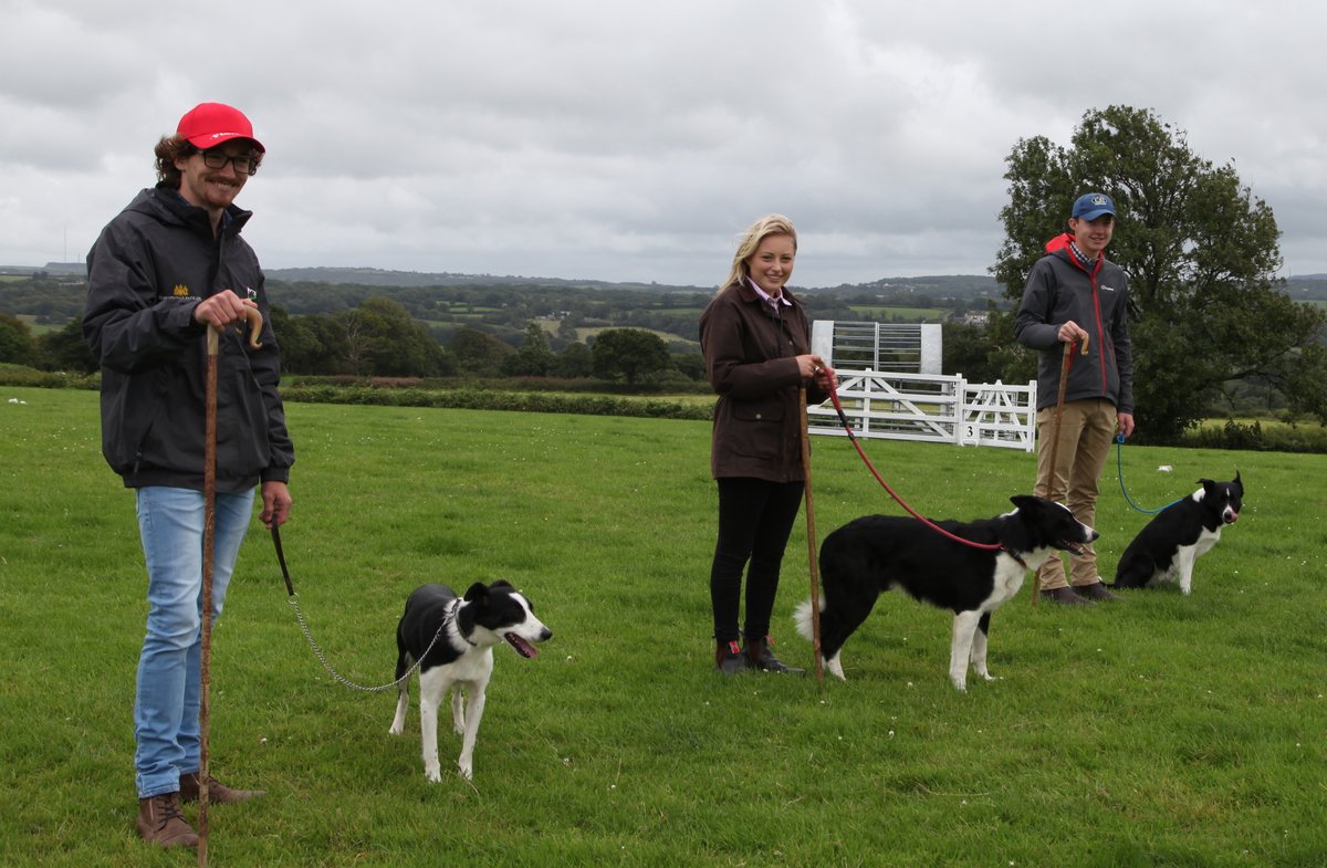 Felly, dyma'r tri fydd yn ymddangos nos Lun yma am 21:00 yn rownd derfynol Ffermio: Treialon y Cŵn. Logan Williams, Erin McNaught a Llion Harris. Ond pwy fydd yn cyrraedd y brig? 

📅 07-09-20
⏰ 21:00
📺 <a href="/S4C/">S4C 🏴󠁧󠁢󠁷󠁬󠁳󠁿</a>
