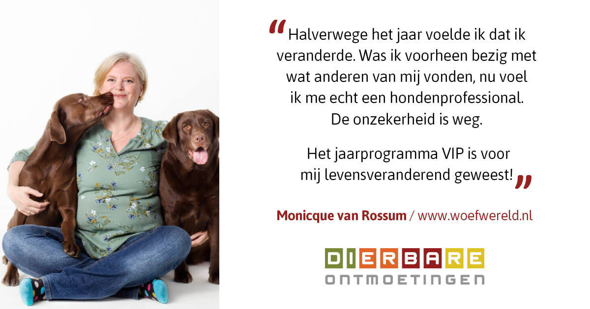 DierbareO's tweet photo. Monique van Rossums ervaring met het Impact VIP programma: "Het jaarprogramma VIP is voor mij levensveranderend geweest!” Heb je vragen met betrekking tot kind en hond, zij kan je helpen!
Monicque van Rossum
https://t.co/7uEsNHDMnH
#dierbareontmoetingen #hondhaptnaarkind #hond https://t.co/odS2lFOXeX