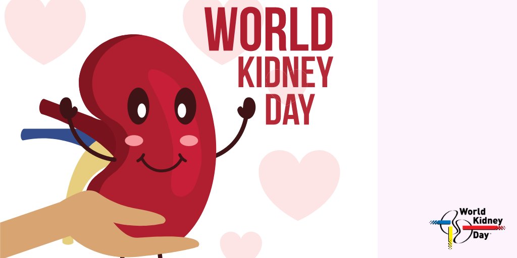 Your kidneys are amazing. Look after them well! #worldkidneyday #gratitude worldkidneyday.org/facts/your-kid…