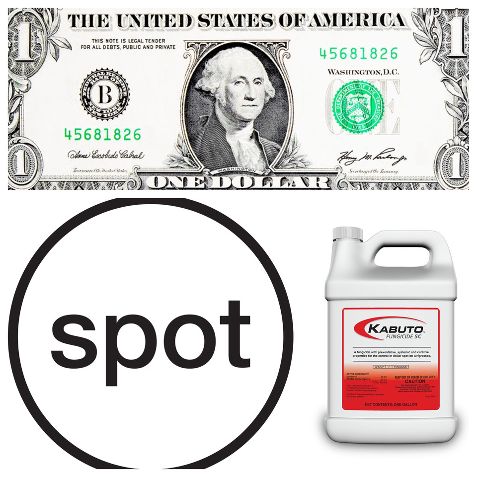 jfcanning's tweet image. With the weather cooling down📉 as we enter fall 🍂🍁look to @pbigordonturf KABUTO (SDHI) #fungicide for a cost effective 💵-⚫️ (DS) control in a flowable 💦formulation👊 #KeepEmClean #CheapNEasy