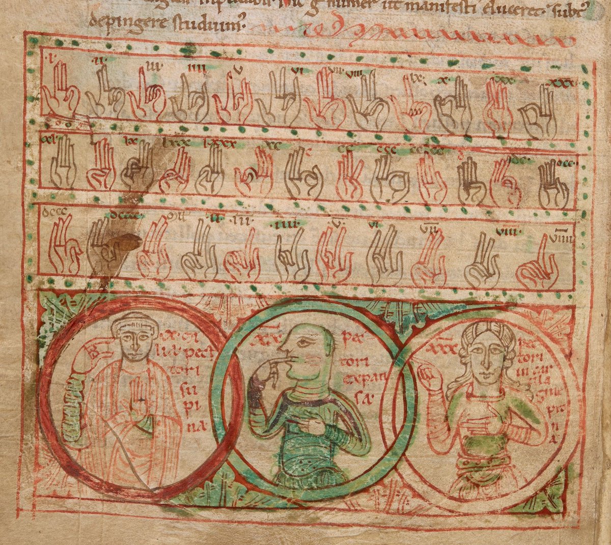 Finger-counting was an important way of performing calculations during the Middle Ages. These intricate diagrams demonstrate the technique. Read this article to learn more about medieval approaches to science and maths: ow.ly/ByIk50AMw4O #CollectionsUnited #PolonskyPre1200