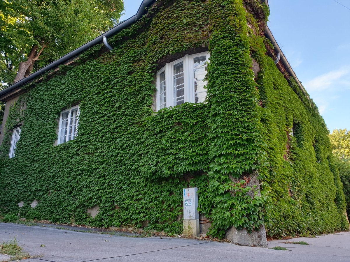 Gebäudebegrünung für Fortgeschrittene.