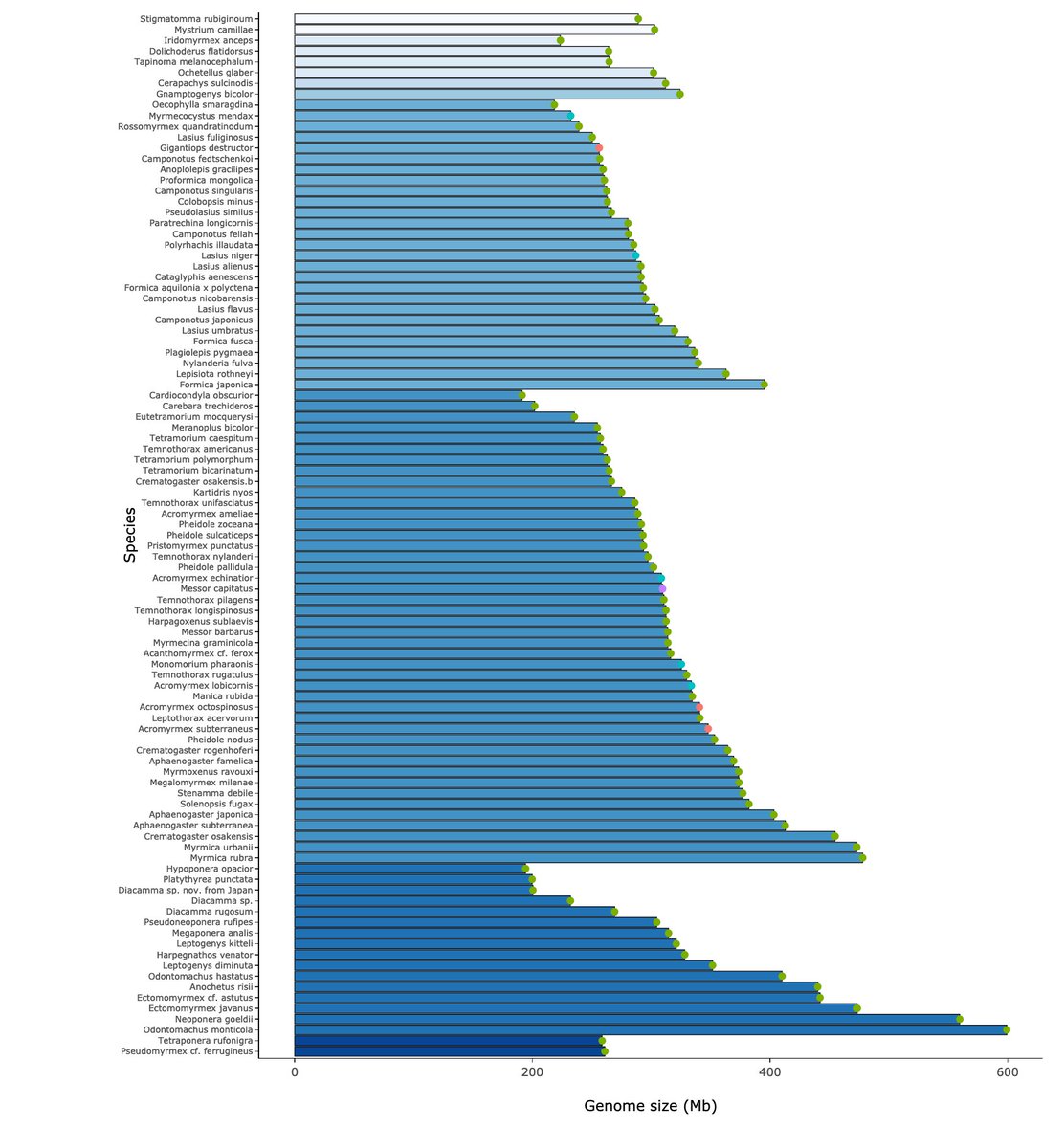antgenomics's tweet photo. We have published a detailed summary of our first (almost) 100 genomes. Have a look at https://t.co/GltcHsBQPi! https://t.co/vIv2MbDZpN