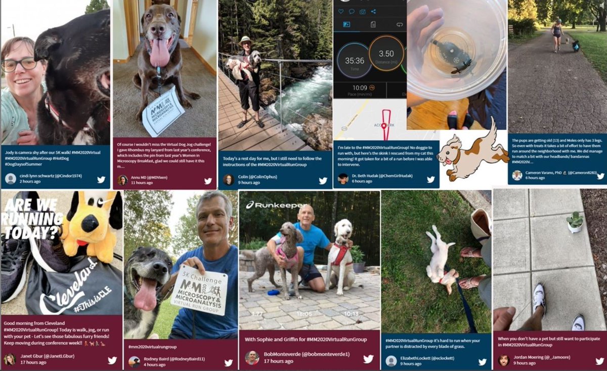 MicroscopySoc's tweet photo. #FBF We're still all smiles from the #MM2020VirtualRunGroup "Virtual Dog Jog" edition. Check out the Social Wall in the online platform and relive some of your favorite moments from this year's #MM2020Virtual conference!

Have a fun, long weekend everyone! 😃 #TGIF https://t.co/10ZcRCdyuc