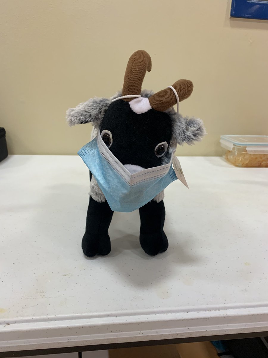 Jcolbyrobinson's tweet photo. Play for the Covid GOAT in PE land! @SteepDiesel #6thgradePE #ocssaints https://t.co/ZdrMvKNNAe