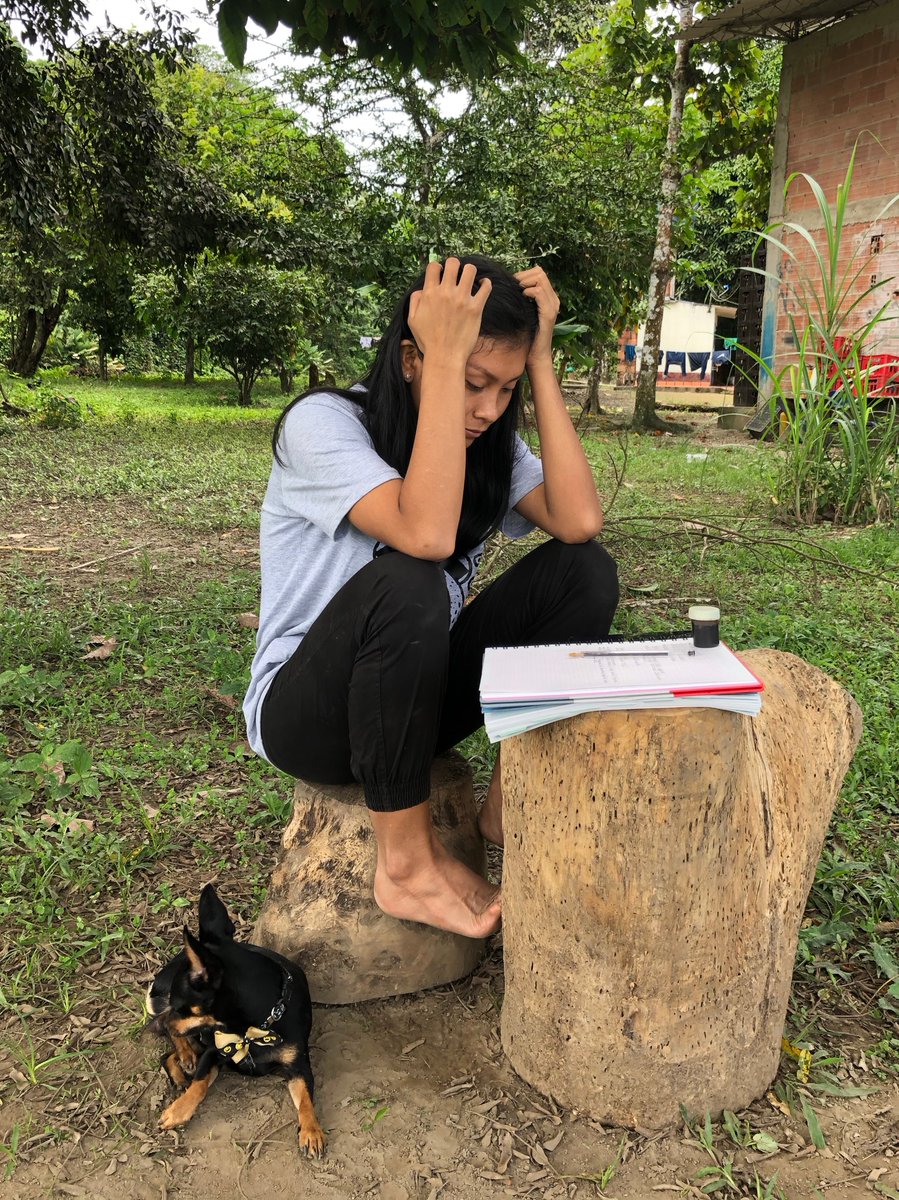 Wendi is a Colombian university student who aims to be the first Indigenous woman to graduate from her school’s anthropology program. But she has no computer, no internet and a terrible cell connection. If she can’t login, she’ll lose her scholarship, forcing her to drop out.