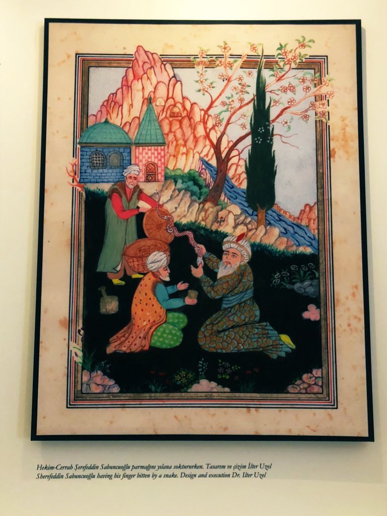 sevdefelek's tweet photo. Ottoman medicine pearls continued:
Ottoman doc Sherefeddin Sabuncuoglu used self-made snake venom antidotes (by having himself bitten!) to treat fevers, fainting, and hallucinations.
#DedicatedDoctor #MedTwitter #OttomanHistory https://t.co/Bzptwcuff2