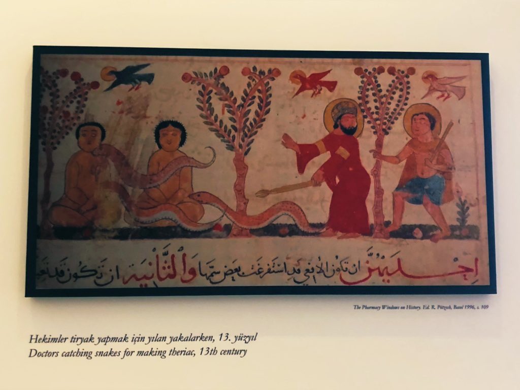 sevdefelek's tweet photo. Ottoman medicine pearls continued:
Ottoman doc Sherefeddin Sabuncuoglu used self-made snake venom antidotes (by having himself bitten!) to treat fevers, fainting, and hallucinations.
#DedicatedDoctor #MedTwitter #OttomanHistory https://t.co/Bzptwcuff2
