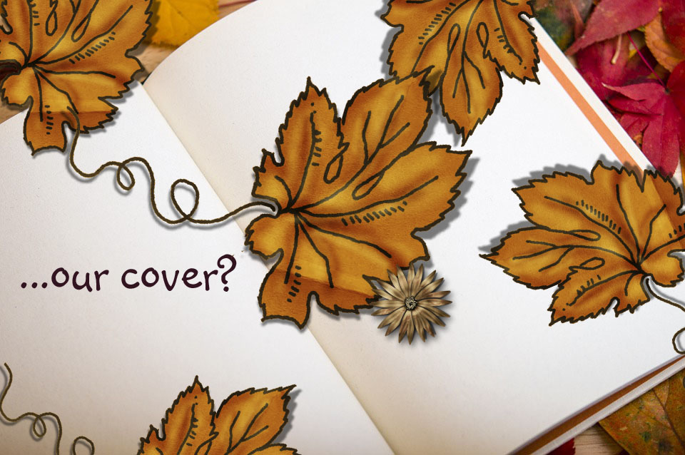 RosieRrbjj's tweet photo. Are you ready to see our cover? @CatMichaelsBook and I are doing our cover reveal for, "Just Between Sam and me." 
Read carefully as we're going to take you on a trip to NC first, then back to MO. Enjoy!  
https://t.co/4FmPUkahoq
#CoverReveal #GR8Blogs #CatMichaels #RosieRussell https://t.co/SzcwEx6tPt