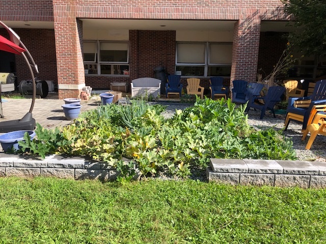 RHSCulArts's tweet photo. A contrast of gardens...right is Winter2020, left is Fall2020. Look closely - you'll see all sorts of volunteer pumpkins growing! https://t.co/PKi86Mpulb